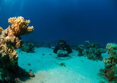 Arasub-civitanova-a-soma-bay-egitto (11)