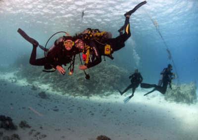 Arasub-civitanova-a-soma-bay-egitto (16)