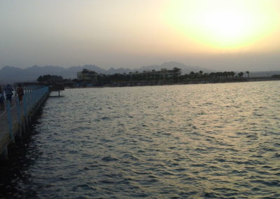 Arasub-civitanova-a-soma-bay-egitto (30)