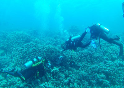 Arasub-civitanova-a-soma-bay-egitto (43)