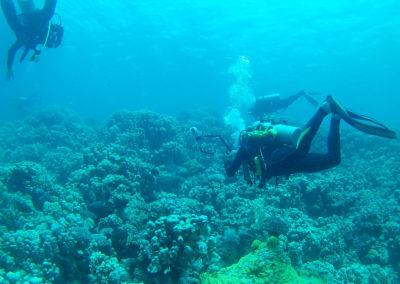 Arasub-civitanova-a-soma-bay-egitto (44)