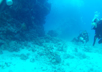 Arasub-civitanova-a-soma-bay-egitto (45)