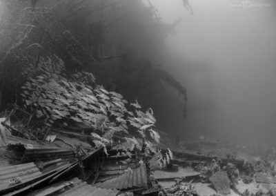 Arasub-civitanova-a-soma-bay-egitto (47)