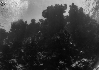 Arasub-civitanova-a-soma-bay-egitto (56)