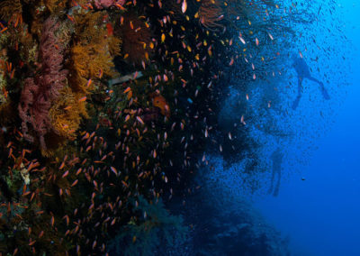 Arasub-civitanova-a-soma-bay-egitto (57)