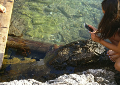 Arasub-civitanova-alle-isole-tremiti-italia (37)